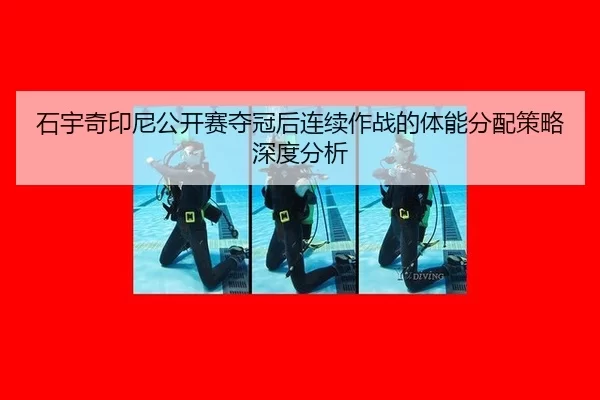 石宇奇印尼公开赛夺冠后连续作战的体能分配策略深度分析（xingkong）